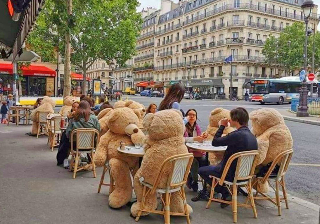 cafe teddy bear